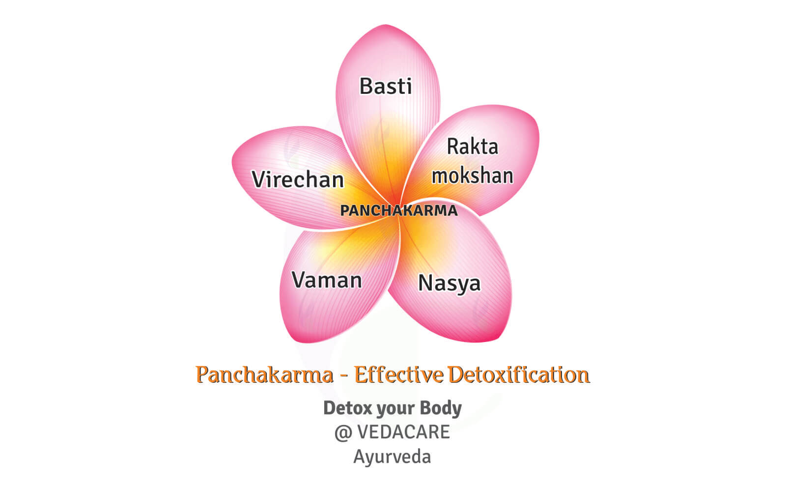 importance-of-panchakarma-in-life