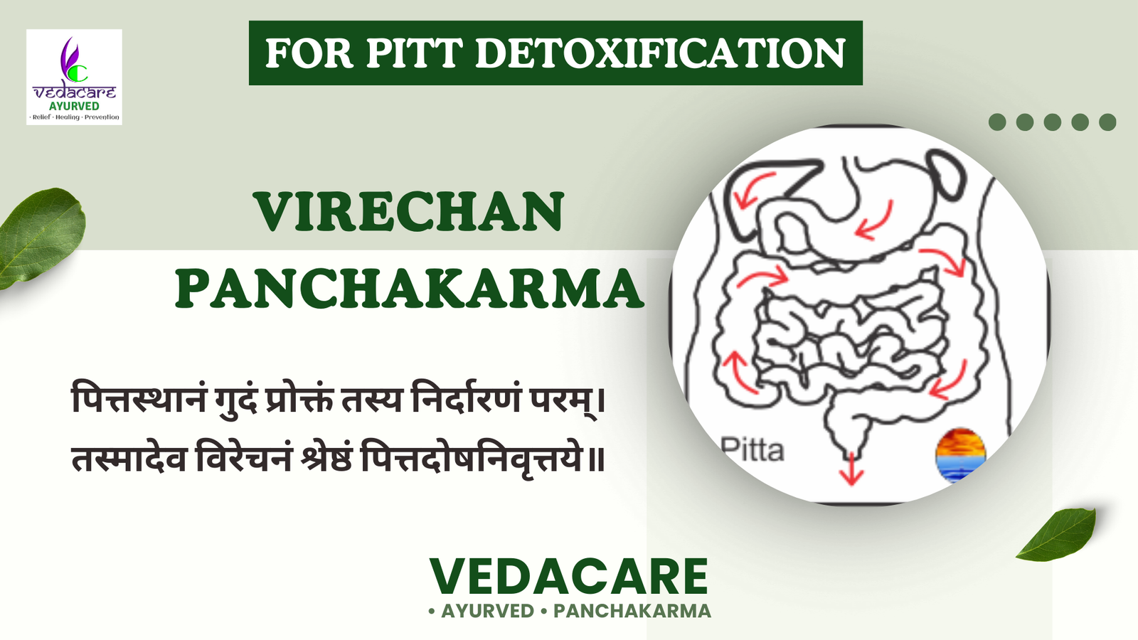 Ayurvedic Pitta detox treatment through Virechan Panchakarma