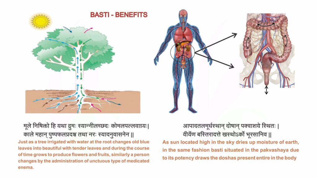 how-basti-panchakarma-works