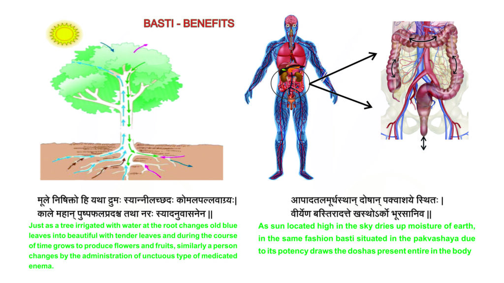 Basti Panchakarma Benefits for Digestion, Pain & Detox | Ayurvedic Infographic Basti Panchakarma Treatment in Ayurveda | Vata Dosha Detox | Vedacare Ayurveda Infographic listing 10 key benefits of Basti Panchakarma: Vata balance, colon cleanse, joint pain relief, etc. Ayurvedic Basti Panchakarma therapy being administered by a trained practitioner for colon detox and Vata imbalance treatment