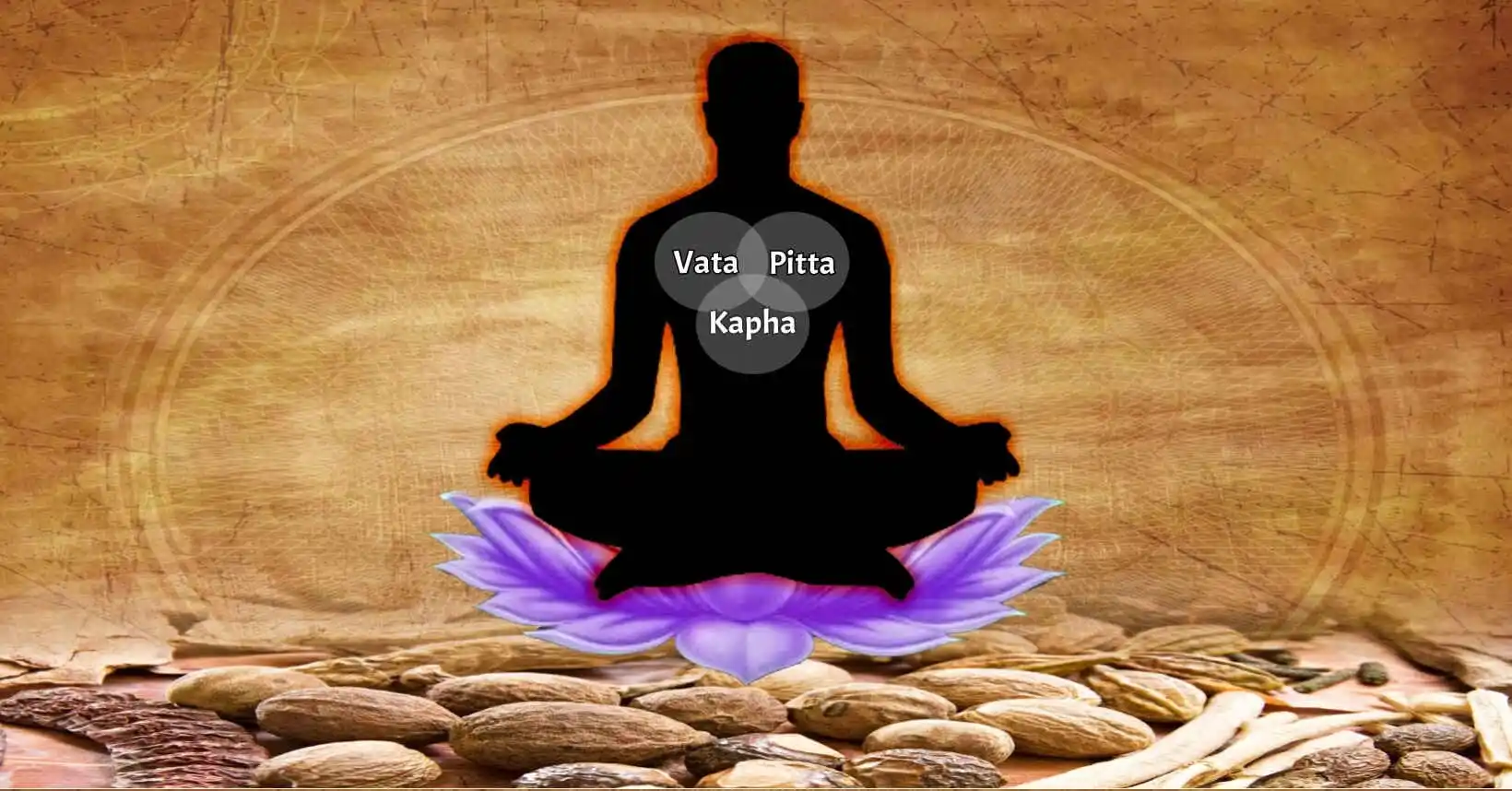 Who is the Best Ayurvedic Doctor in Pune? Dr. Harshal Nemade is considered one of the best Ayurvedic doctors in Pune, specializing in Panchakarma treatment and chronic disease management using personalized Ayurvedic therapies.